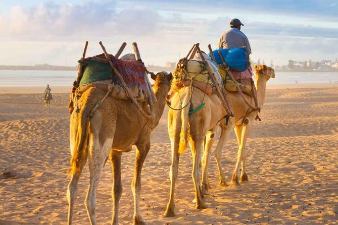 Best of Morocco Tour (15 days) - Marrakech’s medina and Kasbah du Toubkal: nights in Djemaa el Fna