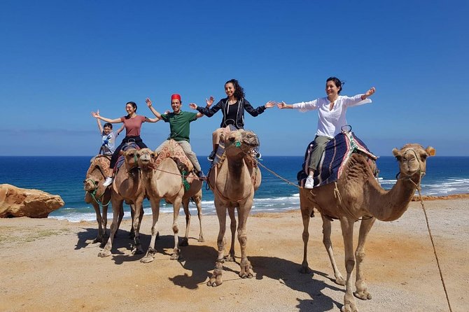 Best of Tangier: Camel Ride, Medina Walk & Breathtaking Views - Medina of Tangier walk: 60 minutes of orientation, shops, and local rhythm