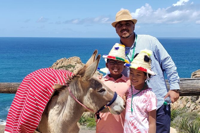 BEST SELLER TANGIER PRIVATE TOUR: Highlights, Camels & Old Town - Tangier Casbah: fortress views and a history-shaped pause