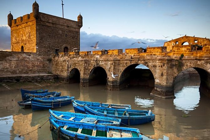 Best shared day trip to Essaouira from Marrakech - The argan oil cooperative stop: a short cultural add-on