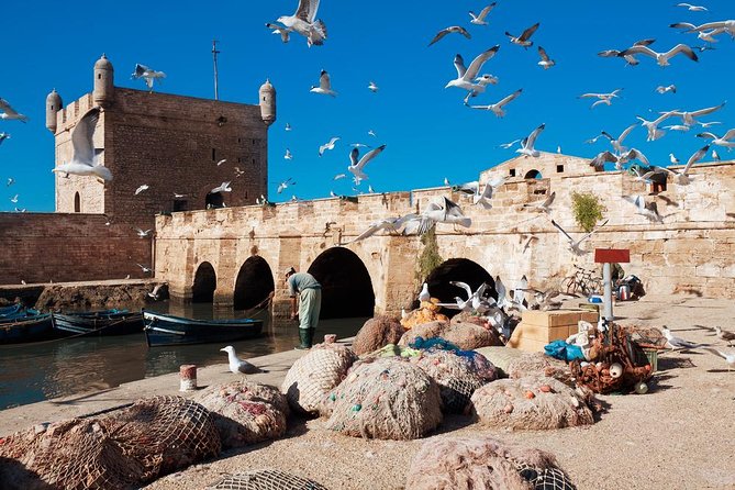 Best shared day trip to Essaouira from Marrakech - Essaouira Fishing Port: Portuguese fortifications and Atlantic views