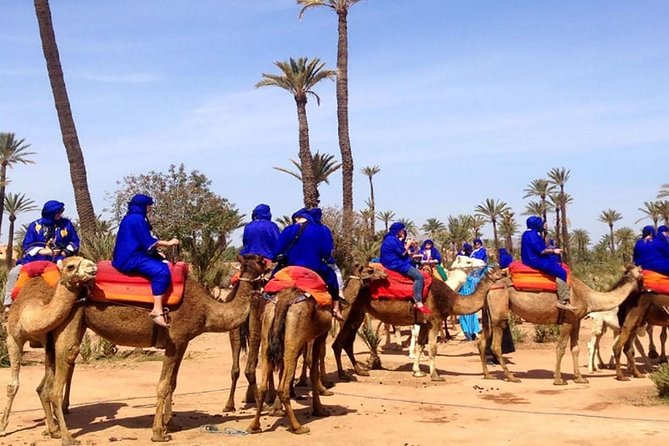 Best Sunset Camel Ride with tea break in the Palm Grove of Marrakech - Key takeaways before you go