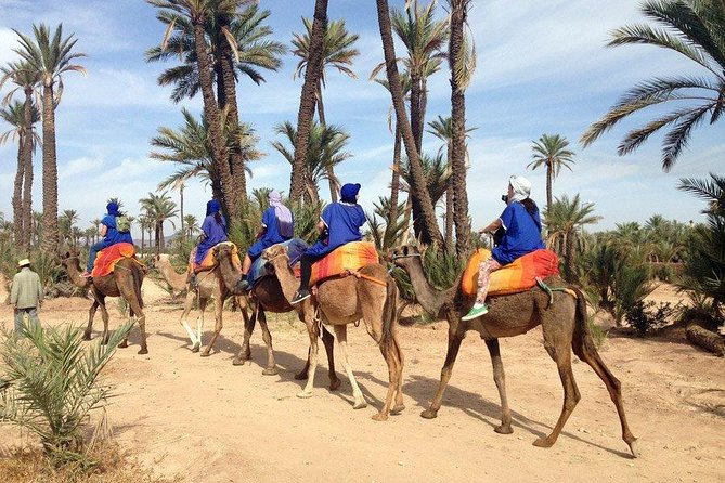 Best Sunset Camel Ride with tea break in the Palm Grove of Marrakech - Why Marrakech sunsets pair so well with the Palmeraie