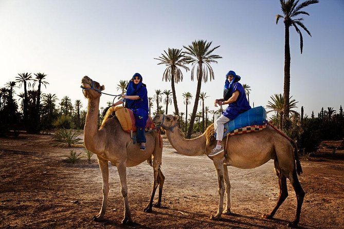 Best Sunset Camel Ride with tea break in the Palm Grove of Marrakech - Tea at a Berber family home: more than a quick stop