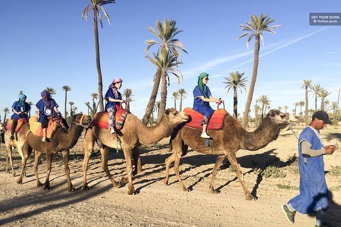 Best Sunset Camel Ride with tea break in the Palm Grove of Marrakech - Dressing up with nomadic clothing and the sheish scarf