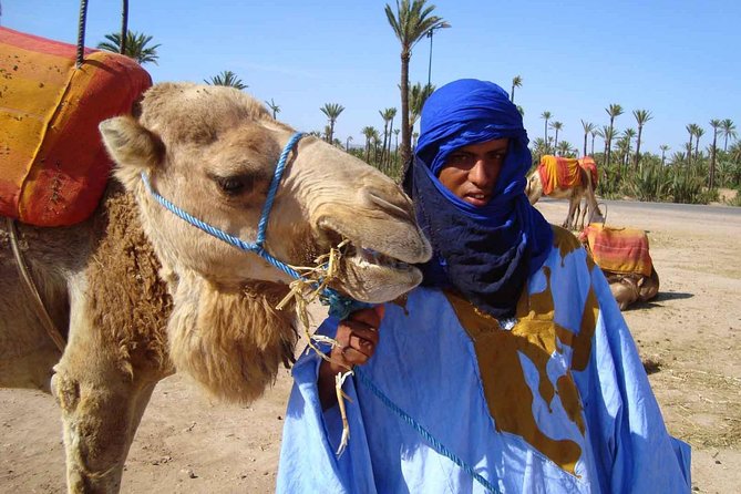 Best Sunset Camel Ride with tea break in the Palm Grove of Marrakech - Pickup, timing, and where you start