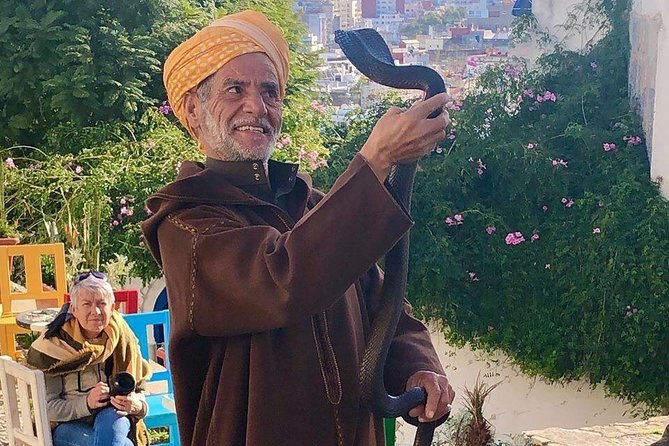 Best Tangier Day Trip from Tarifa, Spain - Why a Guided Tangier Day Trip from Tarifa Makes Sense