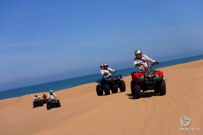 Big Cap Sim dunes and forest 3 hours tour. - Photos and the Free DVD: Better Memories, Less Scrambling