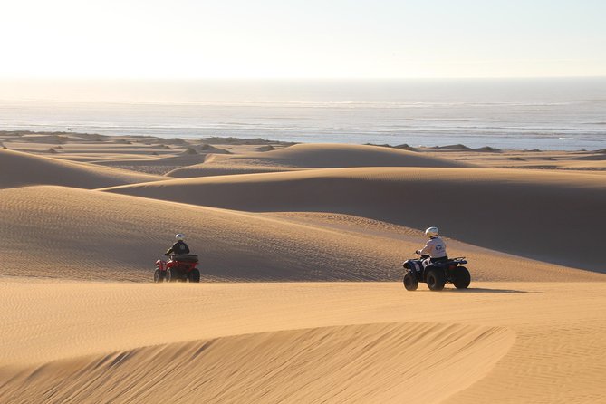 Big Cap Sim dunes and forest 3 hours tour. - First Impressions at Palma Quad: What to Expect Before You Ride