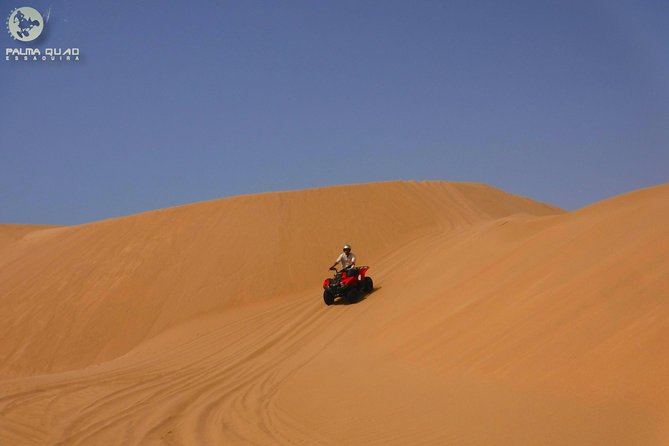Big dunes and atlantic coast tour 2 HOURS - Gear Rental That Saves You Money (and Handles Coastal Wind)