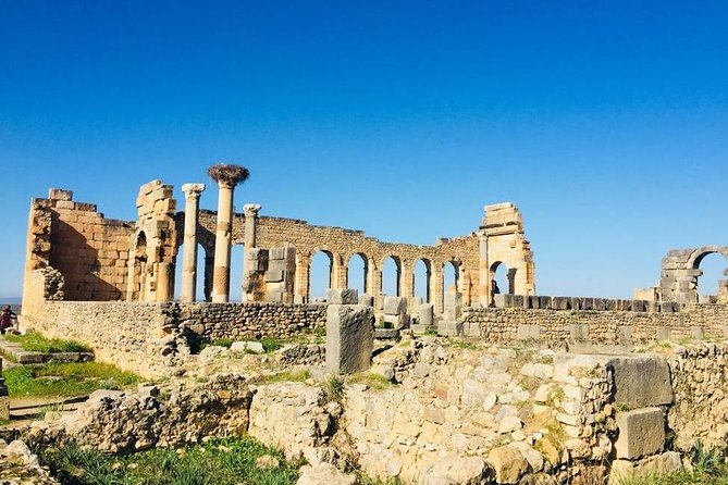 Big Morocco Tour 15 Days From Casablanca - Volubilis to Meknes to Fes: Roman Ruins to Royal Ramparts