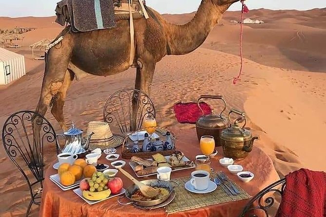 Big Morocco Tour 15 Days From Casablanca - Casablanca Arrival: Get Oriented, Then Hit Hassan II Mosque