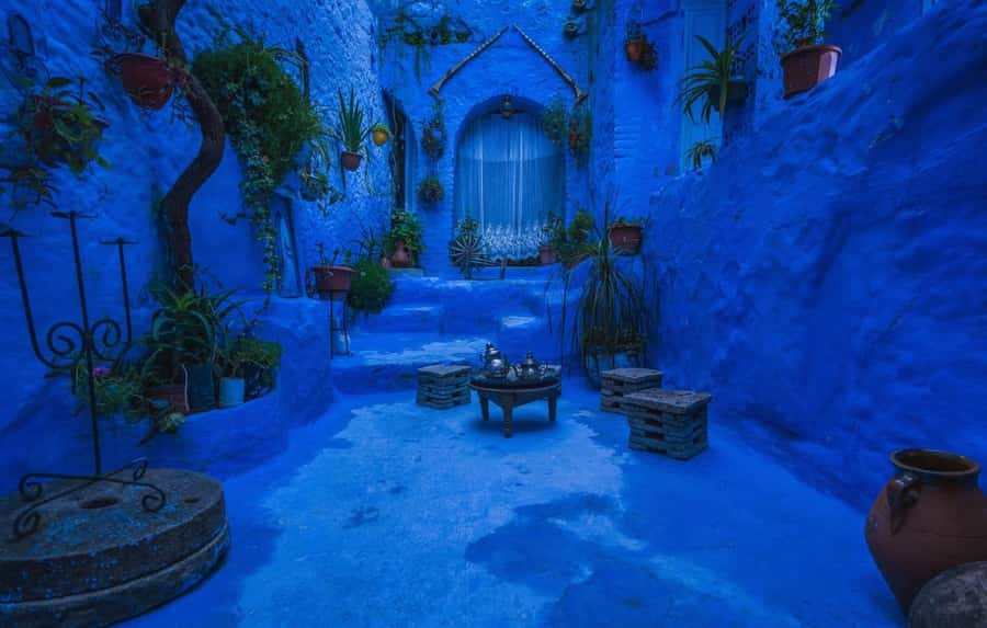 Blue City magic: Affordable Day Trip from Fez to Chefchaouen - Lunch Options: Eating Local Without Losing Your Timing