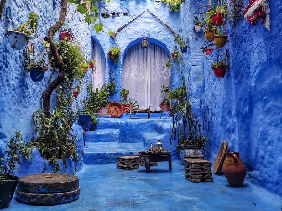 Blue City magic: Affordable Day Trip from Fez to Chefchaouen - Who This Trip Suits (And Who Might Prefer Something Else)