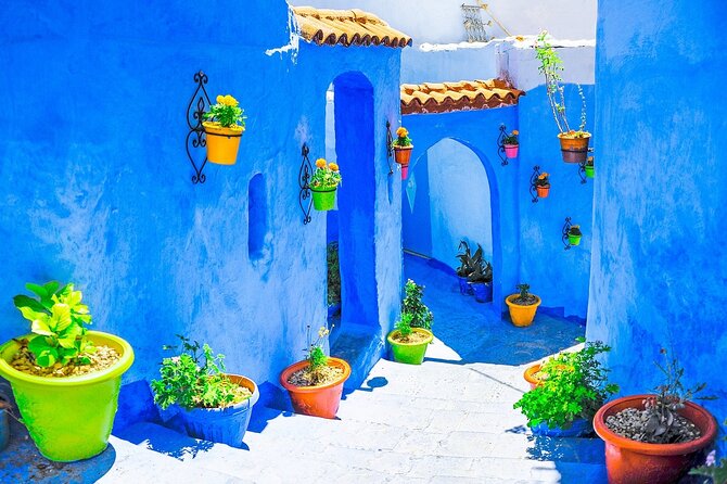 Blue City Tour from Marrakech: Private 4-Day Luxury Tour to Chefchaouen - Day 4: Hassan II Mosque, Morocco Mall, Palmeraie camel ride, back to Marrakech