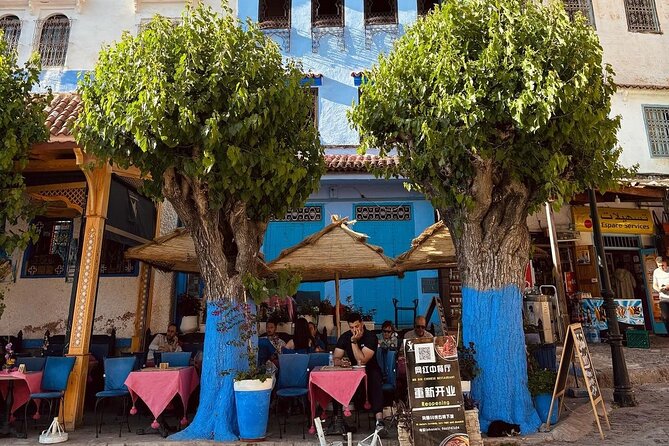 Blue Paradise from Tangier to Chefchaouen - Grand Mosque Views: What You Can See (and What You Can’t)