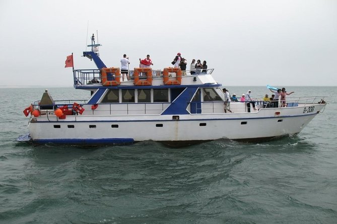 Boat Tours in Agadir lunch including ( sea food ) - Key Highlights to Know Before You Go