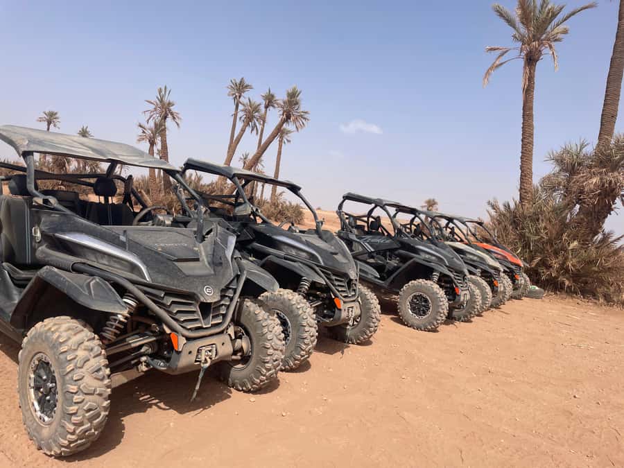 Buggy 1000 cc Adventure in Marrakech Desert - Camel ride and Berber dinner: the cultural part you’ll remember