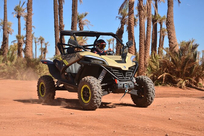 Buggy excursion to the palm grove Marrakech - Key highlights before you go