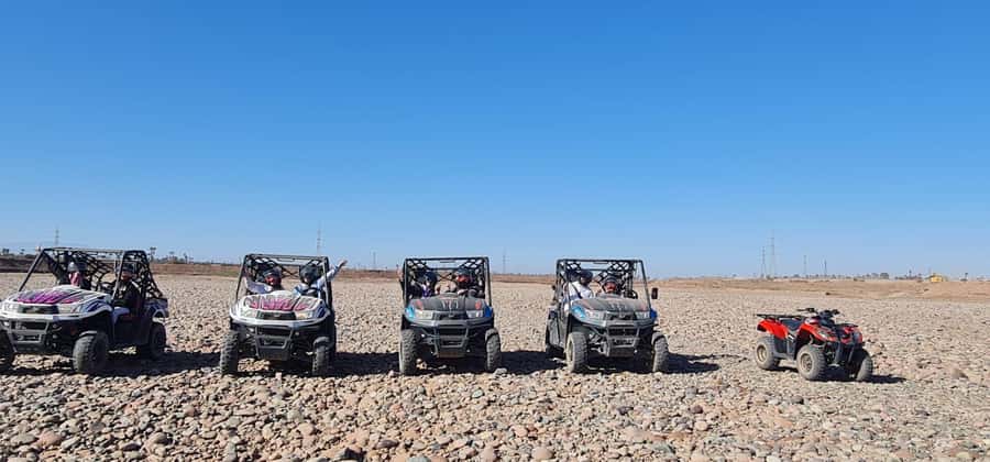 Buggy ride at the Palm Grove and Desert with swimming pool - Key highlights to look for