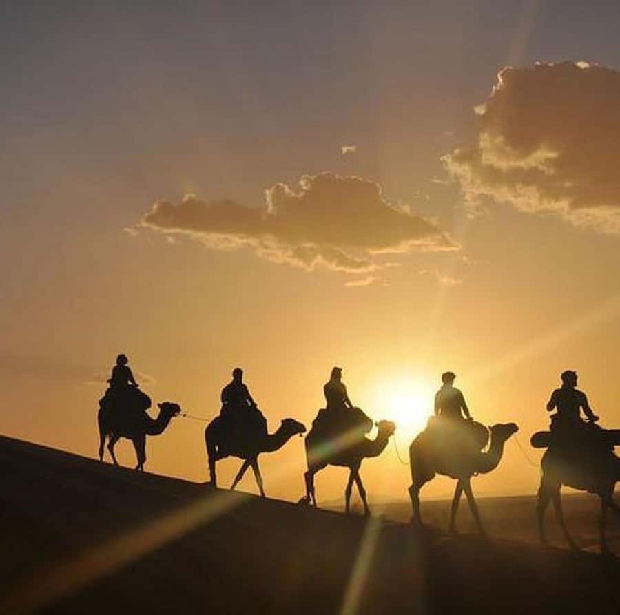 Buggy ride with camels and dinner show in agafay desert - The buggy ride: safety, speed, and what 2-person driving feels like