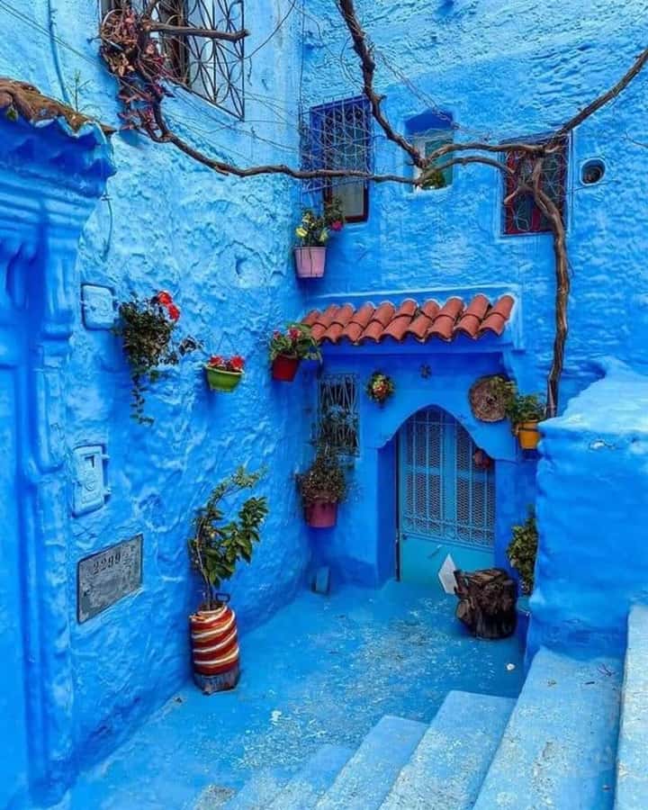 By Group - Chefchaouen bleu city Day Trip with Small Group - Arrival in Chefchaouen: Getting Drop-Off Time Right