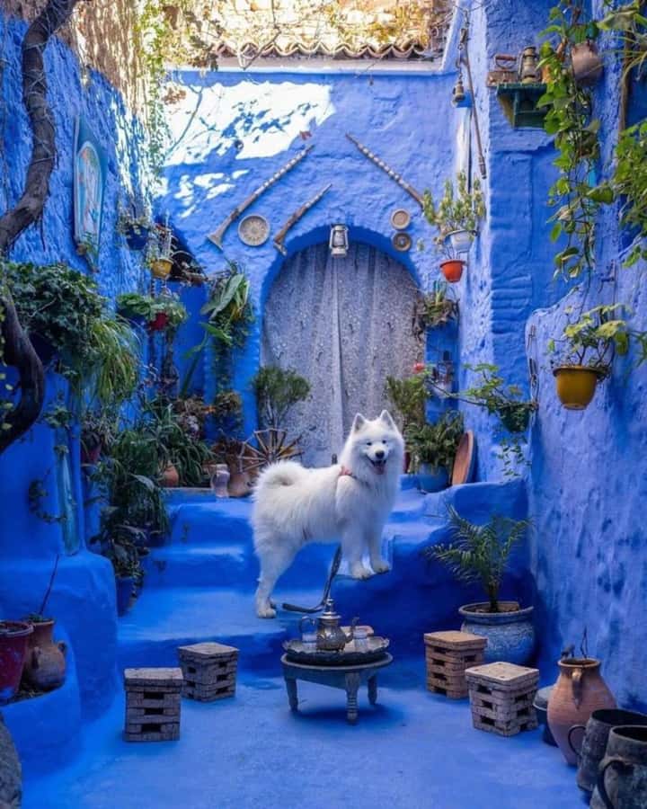 By Group - Chefchaouen bleu city Day Trip with Small Group - Ras El Maa Spring: When the Blue City Softens Into Nature