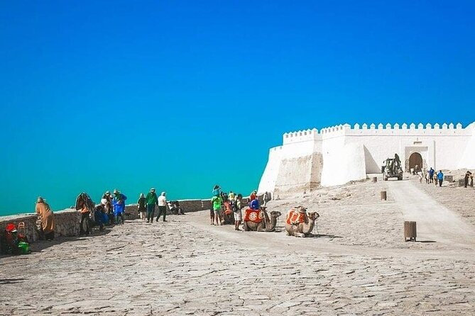 Cable Car Experience and Agadir City Tour. - Key Highlights You’ll Actually Care About