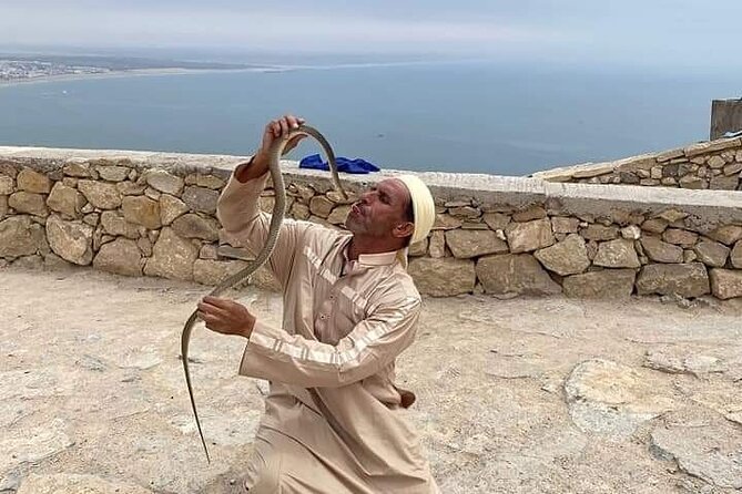 Cable Car Experience and Agadir City Tour. - Stop 3: Argan Palace and the Real Story Behind Golden Liquid