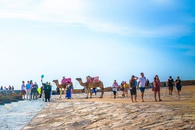Cable Car Experience and Agadir City Tour. - Price and Value: What Your $13.78 Actually Gets You