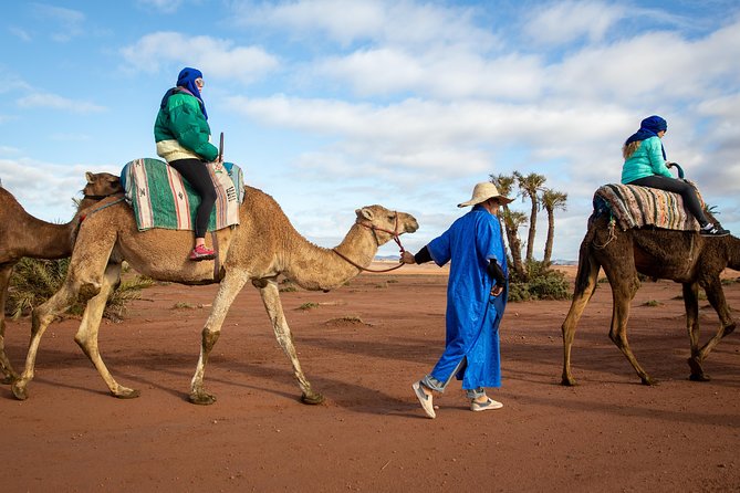 Camel and Quad Biking Tour from Marrakech - Key highlights worth your attention