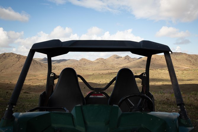 Camel and Quad Biking Tour from Marrakech - Tagine lunch: what you can expect between the camel and the quad