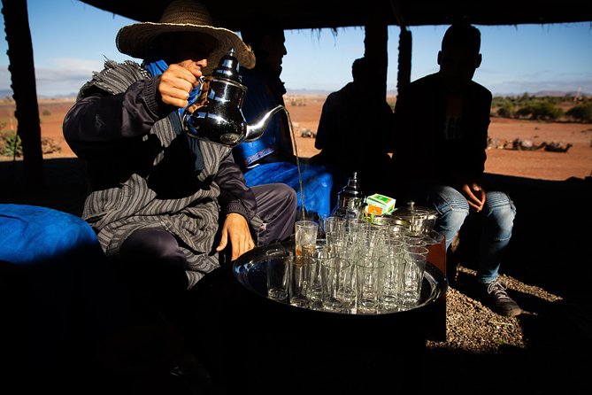 Camel and Quad Biking Tour from Marrakech - Price and value: what $98.48 really buys you in the real world