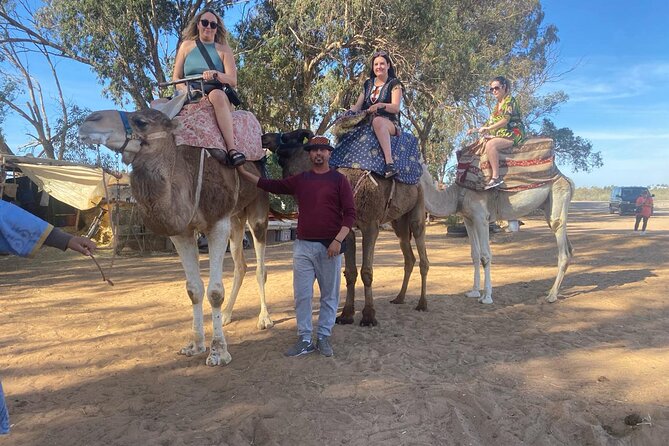 Camel Ride and Barbecue Tour in Agadir - Key highlights you’ll feel fast