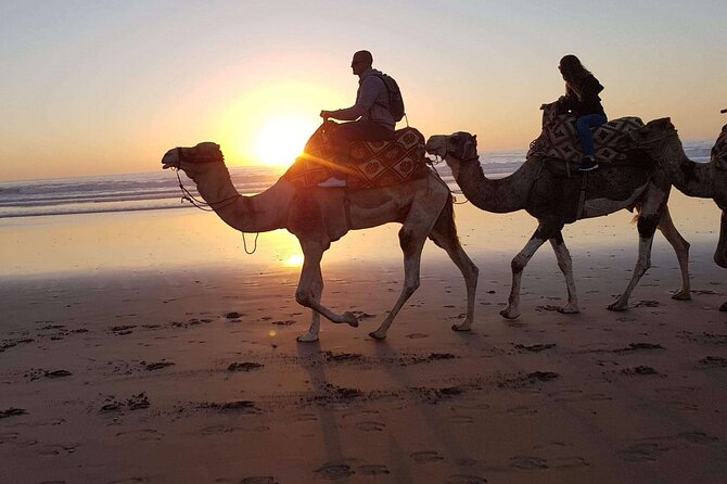 Camel Ride and Barbecue Tour in Agadir - Getting to the ranch: pickup, accident insurance, and small groups