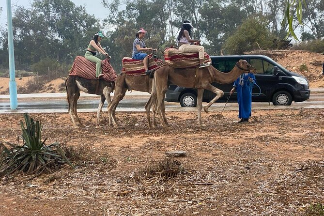Camel Ride and Barbecue Tour in Agadir - Bird-watching at Oued Souss and Souss National Park