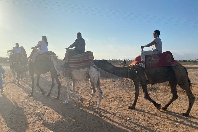 Camel Ride and Barbecue Tour in Agadir - Plage Agroud and the mint tea reset