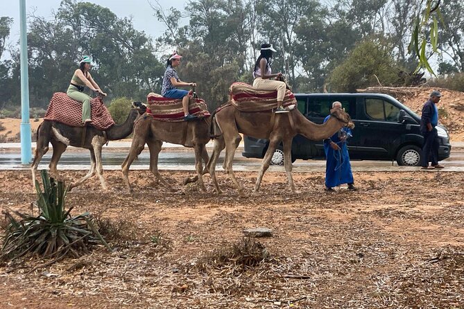 Camel Ride and Barbecue Tour in Agadir - Is $23.50 a good deal? Cost vs. what you actually get
