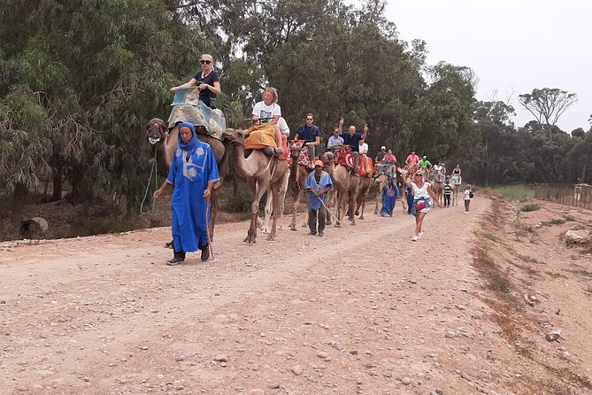 Camel Ride and Barbecue Tour in Agadir - Who should book this camel ride and BBQ tour