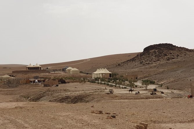 Camel ride and dinner Agafay desert - Price and Value: What $99.89 Covers (and What to Watch)