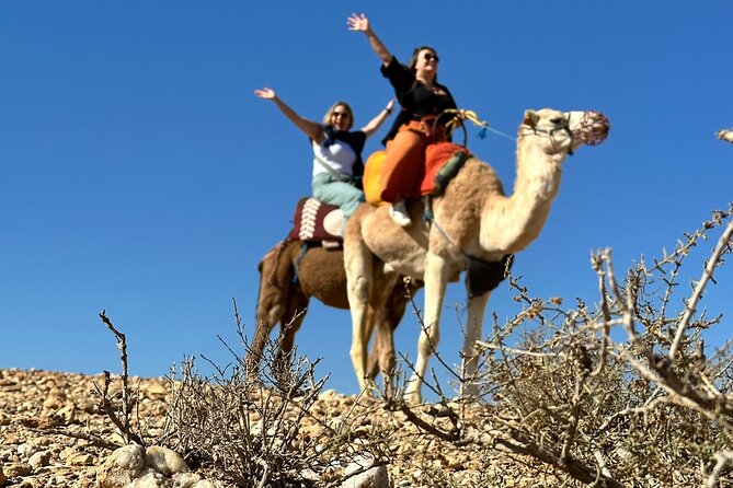 Camel ride and magical dinner in Agafay desert - Agafay at 4pm: why the late departure feels right