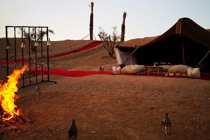 Camel ride and magical dinner in Agafay desert - The 1-hour camel ride in Agafay: calm pace, real views