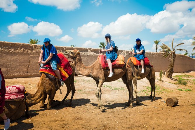 Camel Ride and Quad Biking with fresh mint Tea - Tagine Lunch at the Base: fuel before the quad