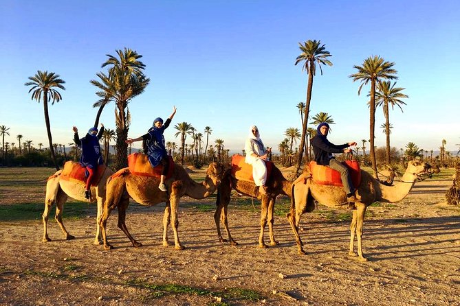 Camel Ride and Spa Treatment in Marrakech - Should you book this camel ride and hammam tour?