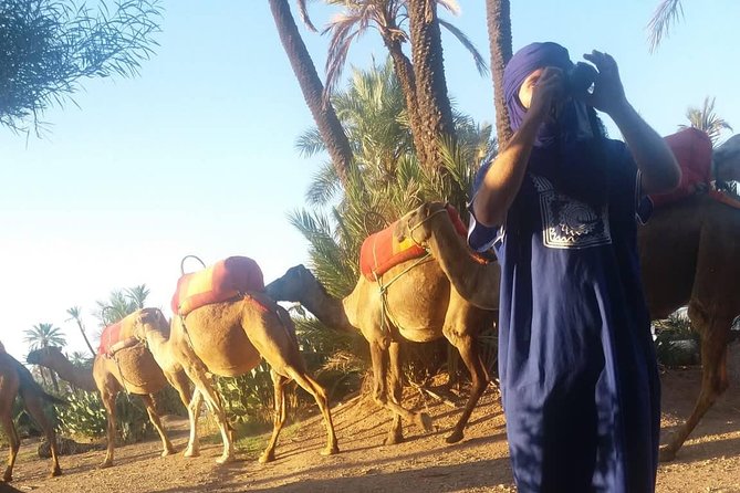 Camel Ride at the Palm Groves in Marrakech - The one-hour camel ride: what the route feels like