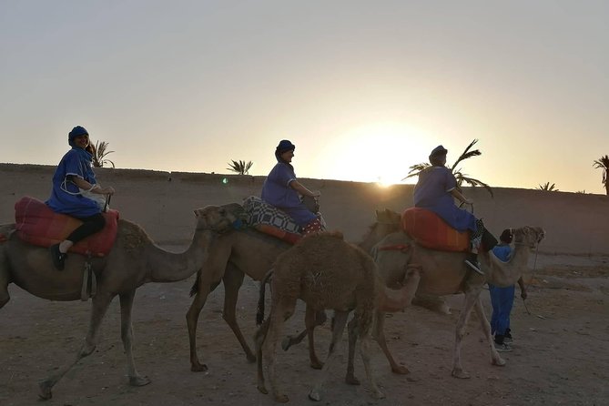 Camel Ride at the Palm Groves in Marrakech - Morning vs afternoon: choosing the mood that fits your day