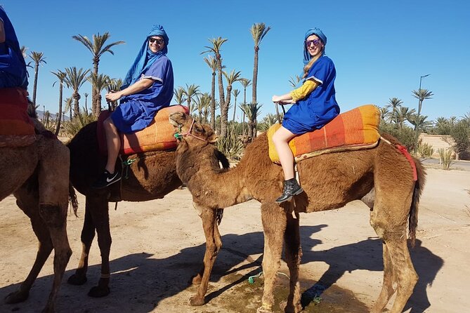 Camel Ride at the Palm Groves in Marrakech - Mint tea with locals: why this stop is more than a perk