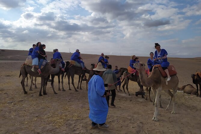 Camel Ride at the Palm Groves in Marrakech - Price and value check: is $23.32 really fair?