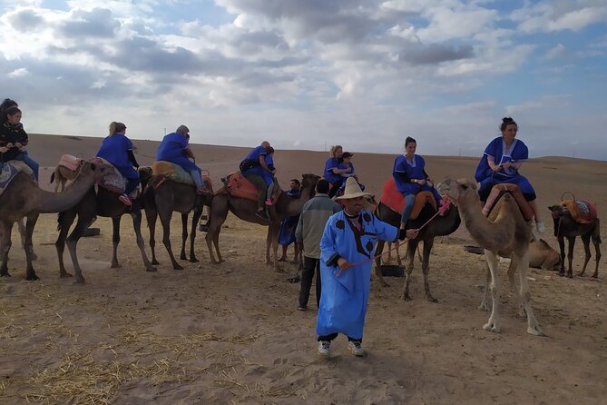 Camel Ride at the Palm Groves in Marrakech - Group size, languages, and what to expect from your guide