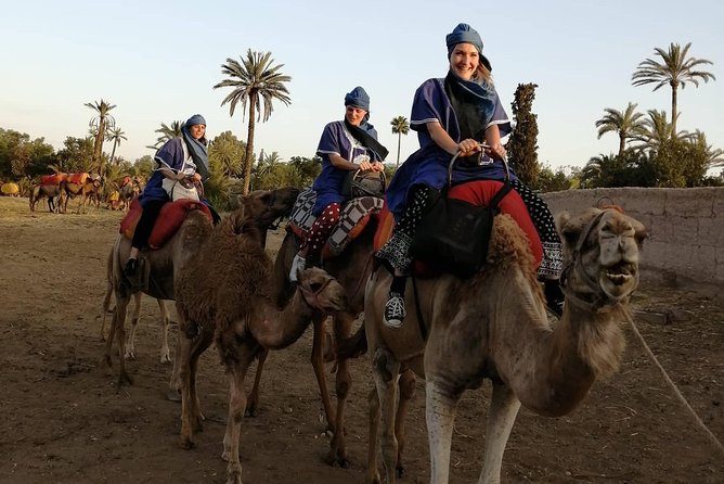 Camel Ride at the Palm Groves in Marrakech - Getting there smoothly with hotel pickup in Marrakech